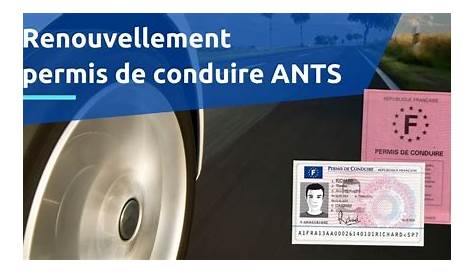 Nouveau permis de conduire en France - Consulat Général de France à