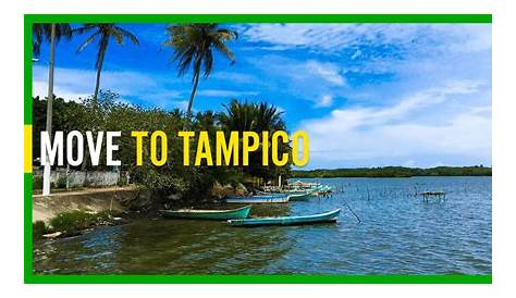 Tampico | Eléctrico®