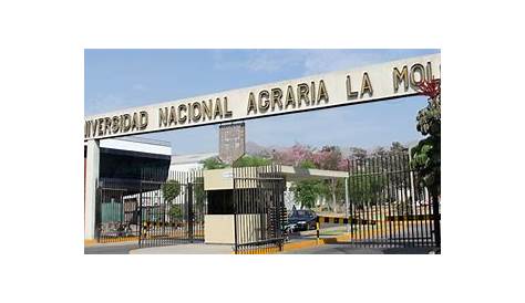 Admisión 2024-I UNALM - Universidad Agraria La Molina