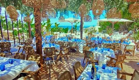 Restaurant de La Plage | Hotel de la plage, Restaurant, Hôtel