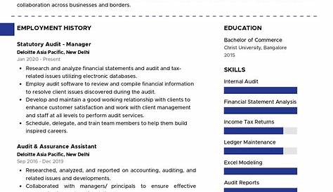 Chartered Accountant Resume - Download in Word, Apple Pages | Template.net