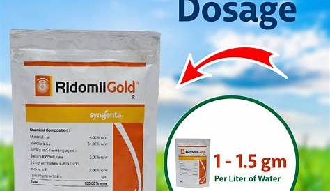 Ridomil Gold Dosage Fungicide Syngenta