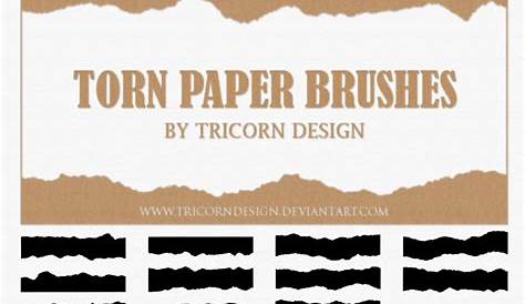 30+ Torn Paper Effect Photoshop Brush Download PNG
