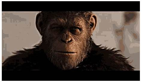 Rise Of The Planet Of The Apes Gif Apen Oorlog Voor De Planeet Van De Apen