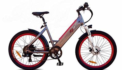RadRunner 1 Electric Utility Bike – Port of Hastings Outfitters