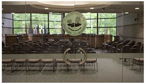 Candidates File for Rochester Hills Council, Library Board Seats
