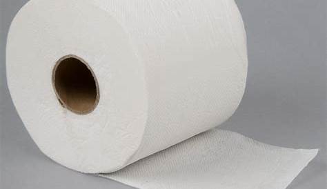 Housing Trivia: Who Invented Toilet Paper
