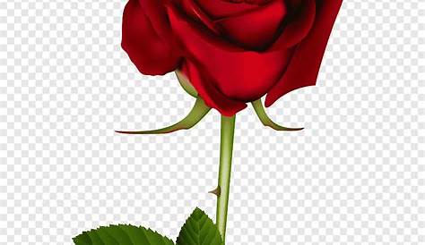 Rosas e Corações png para o Dia dos Namorados