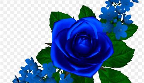 Imagen relacionada Rose Flower Png, Flowers Gif, Flower Art, Blue Roses