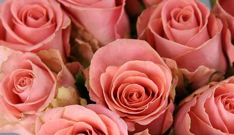 ¿A Quién Enviar Flores A Domicilio De Color Rosa?