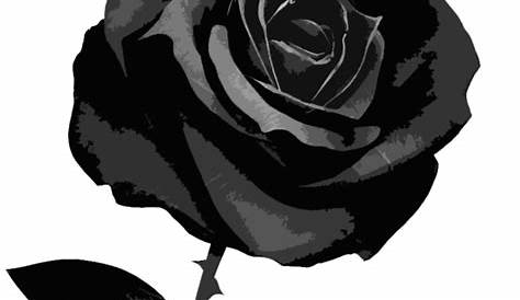 Rose clipart black and white, Rose black and white Transparent FREE for