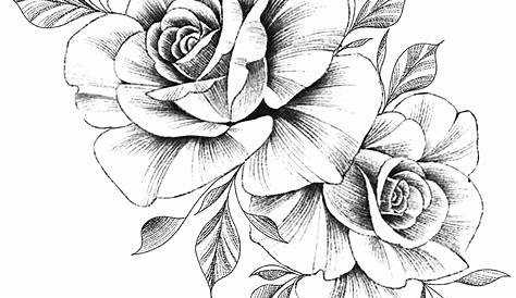 Rose Drawing Tattoo | Astronomy Blog