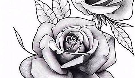 Rose Drawing Outline