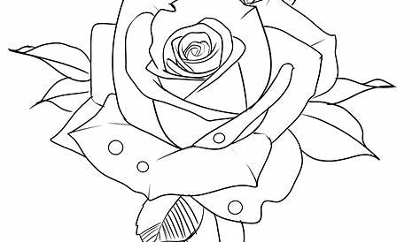 Top 60 Long Stem Roses Drawings | Flower outline tattoo, Rose drawing