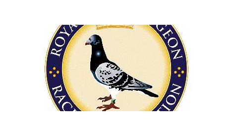 The Royal Family and Racing Pigeons | Melton Invitation Racing Pigeon