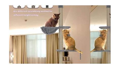 Roypet Upgraded Stable Adjustable 87"116"Tall Cat Climbing Tree with