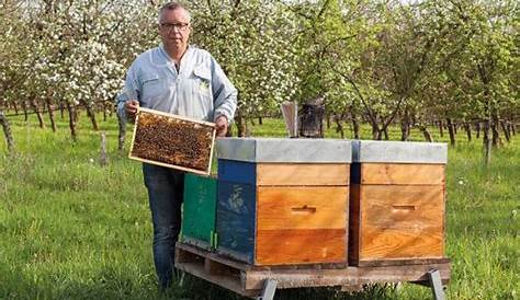 Miel de luzerne, miel de tournesol... la récolte 2020 a été très bonne