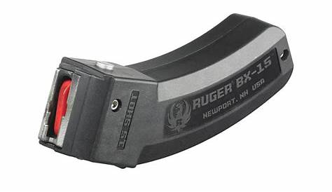 Ruger LCP II .22 LR 10-Round Magazine 2-Pack