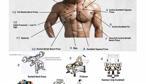 Pin by Nekhai Hong on Workouts | Gym workout tips, Chest day workout