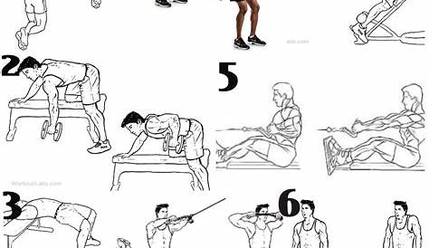 Rutina de ESPALDA - 5 ejercicios de entrenamiento - Aztethic Fitness