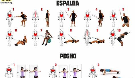 Rutina ESPALDA | Weight training workouts, Bodybuilding workouts, Chest
