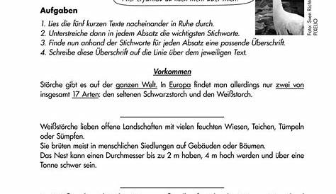 Sachtexte - Arbeitsblätter für Deutsch | meinUnterricht | Genaues lesen