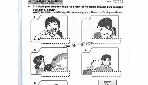 Latihan Sains Tahun 3 Mengikut Topik Topbooks Ilmu Didik Aktiviti - Riset