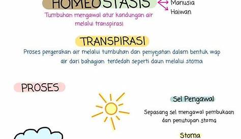 Nota Sains Tingkatan 3 Bab 6