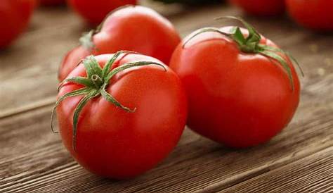 Curiosité. Des tomates de saison en Novembre - Jacky La Main Verte