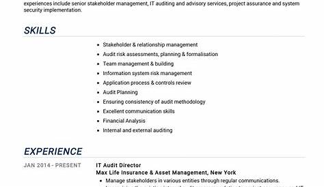 Professional Cv For Auditor - Audit Manager Resume Auditing Risk