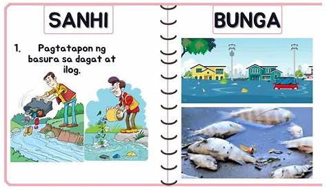 Poster Ad Tungkol Sa Sanhi At Epekto Ng Disaster Bungapino Mga Bunga