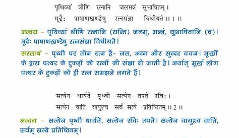 Sanskrit Class 10 Chapter 4 Ncert Exercise Solution - Photos