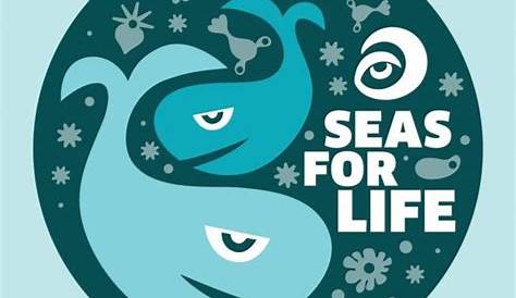 Pin on Save Our Oceans