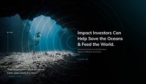 Save The Oceans - Website UI on Behance