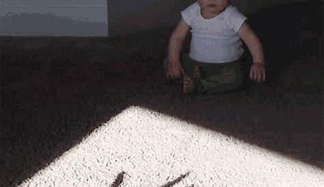 Scared-shadow GIFs - Get the best GIF on GIPHY