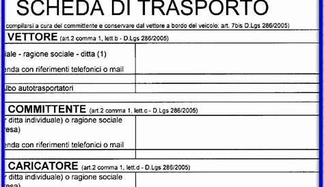 Cos’è il documento di trasporto? – micheledelvescovo.it