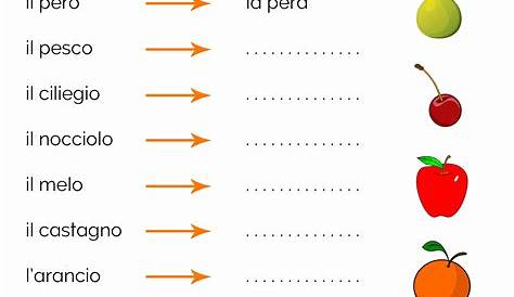 Risultati immagini per schede didattiche | Schede didattiche, Schede