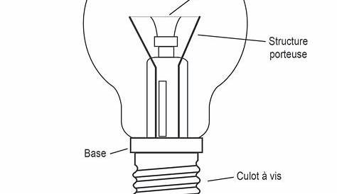Schema Ampoule Incandescente If I Have AC Circuit Of Lamp Which The Neutral Wire Is