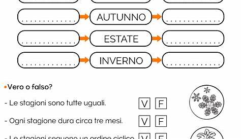 Classe seconda, italiano: lettura e comprensione del testo. Schede da