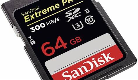 Sd Sandisk SANDISK SDSDXP016GA46 16GB Extreme Pro SD Card