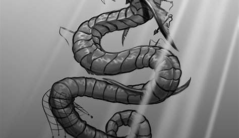 Sea Serpent Tattoo Designs Paul's New