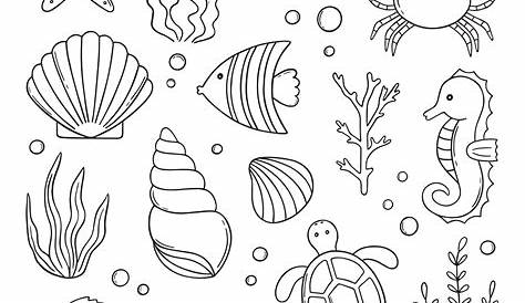 How to draw a Sea Shell | Step by Step with Easy, Spoken Instructions