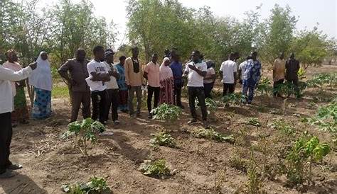 Burkina : Création d’une banque d’agrobusiness pour booster le secteur