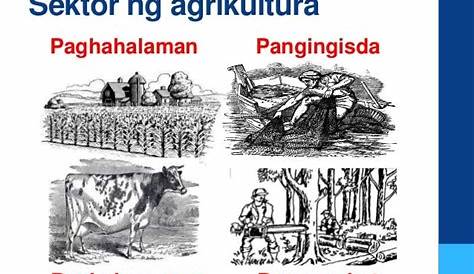 Kahalagahan Ng Agrikultura Sa Ekonomiya Ng Bansa