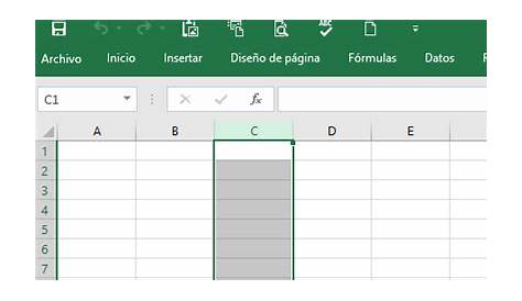 Seleccionar Celdas En Excel - Cios