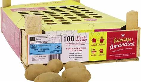 Faire germer des pommes de terre | Pour une culture réussie et rapide