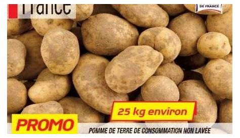 Pommes de terre de semence de qualité - EUROPLANT France
