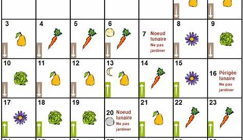 Calendrier Des Semis Biodynamique 2024 Pdf - tournoi des 6 nations 2024