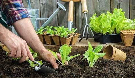 calendrier-lunaire-jardinage-mars2015-jardiner-avec-la-lune – menesplet.fr