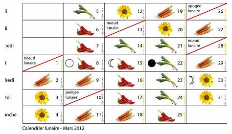 Calendrier des semis : quand et comment faire ses semis ? | Page 2